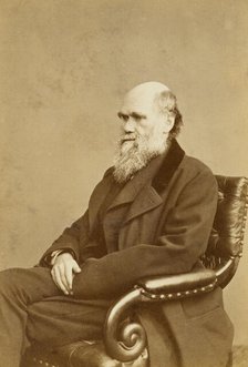 Charles Darwin, c1870s.  Creator: London Stereoscopic & Photographic Co.