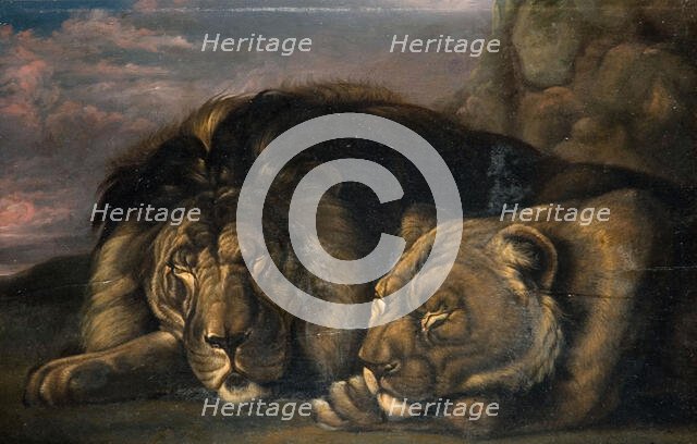 Sleeping Lion and Lioness 1823-1830. Creator: Samuel Raven.