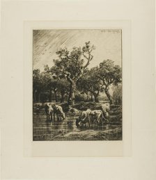 Cows at a Watering Place, 1878. Creator: Charles Emile Jacque.