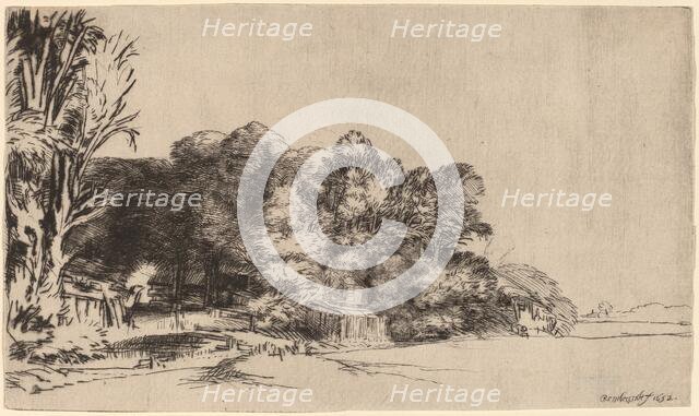 Clump of Trees with a Vista, 1652. Creator: Rembrandt Harmensz van Rijn.