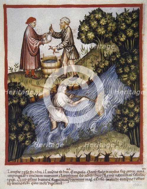 Lampreys, 14th century.  Creator: Unknown.