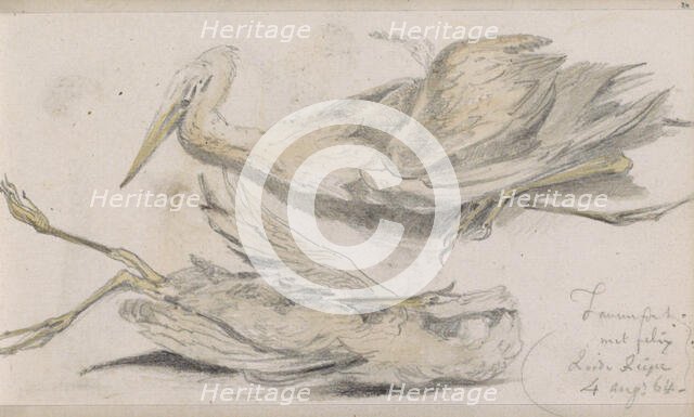 Dead Heron, 1864. Creator: Johannes Tavenraat.