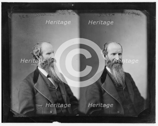 D.S. Whittensall? or Whittenball, between 1865 and 1880. Creator: Unknown.