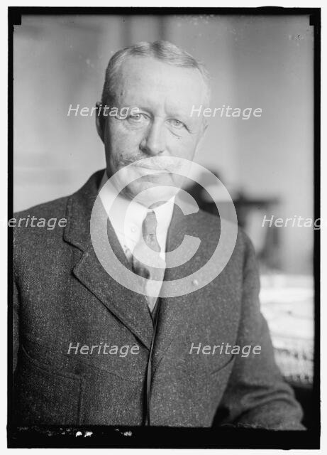 Colonel Treat, between 1914 and 1918. Creator: Harris & Ewing.