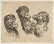 Three Camel Heads, ca. 1641. Creator: Stefano della Bella.