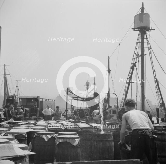 Possibly: Watering fish at the Fulton fish market with brine water, New York, 1943. Creator: Gordon Parks.