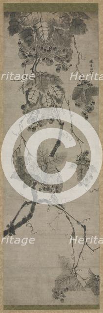 Grapes, 1700s. Creator: Unknown.