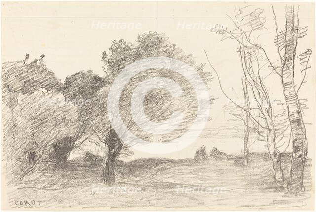 Willows and White Poplars (Saules et peupliers blancs), 1871. Creator: Jean-Baptiste-Camille Corot.