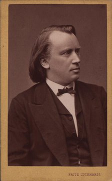Portrait of the composer Johannes Brahms (1833-1897), c. 1875. Creator: Luckhardt, Fritz (1843-1894).