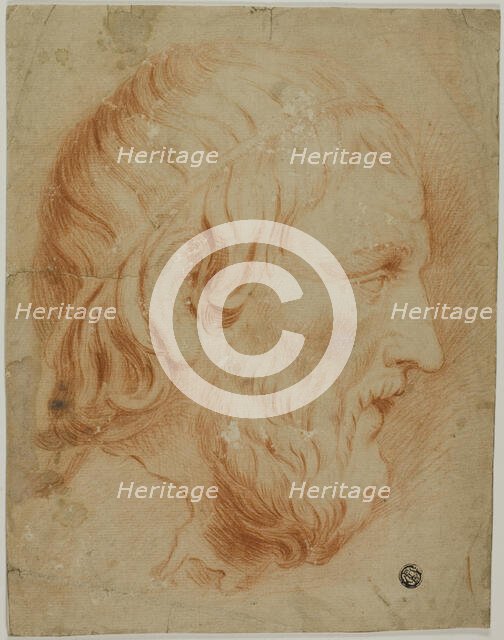 Classical Profile of Bearded Man, n.d. Creator: Unknown.