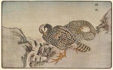 Pheasants, 1789, (1924).  Creator: Kitao Masayoshi.