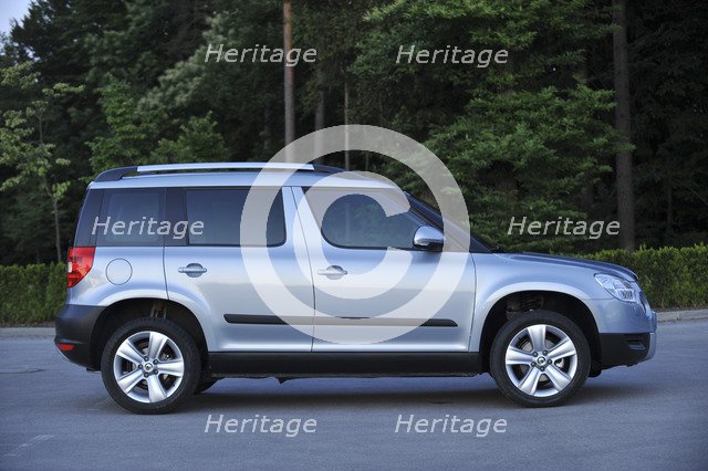 Skoda Yeti 2009. Artist: Simon Clay.