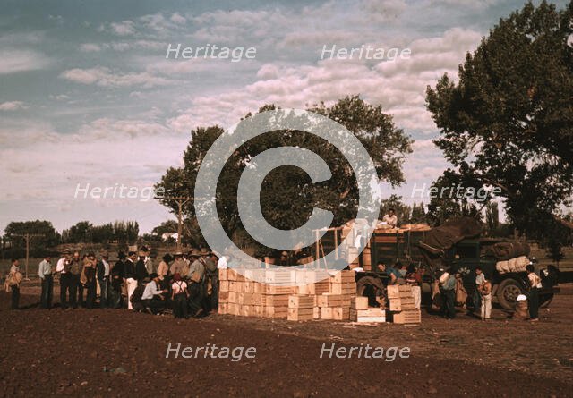 Distributing surplus commodities, St. Johns, Ariz., 1940. Creator: Russell Lee.