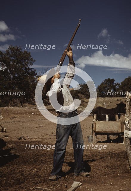Mr. Leatherman, homesteader, shooting hawks..., Pie Town, New Mexico, 1940. Creator: Russell Lee.