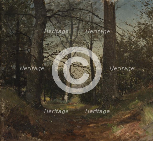 In the Forest. Motif from Stehag, Skåne. Study, 1870. Creator: Gustaf Rydberg.