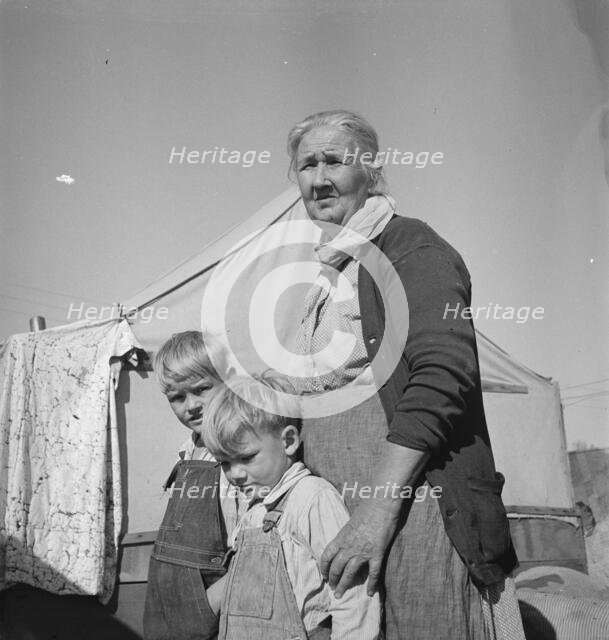 Grandmother of twenty-two children living in Kern County migrant camp, California, 1936. Creator: Dorothea Lange.