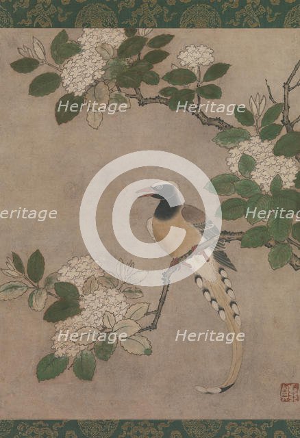 Magpie on Viburnum Branch, early 16th century. Creator: Genga.