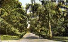 The Flower Walk, Kensington Gardens, London, 20th Century. Artist: Unknown