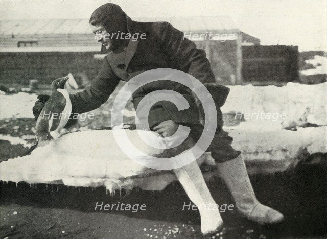 'Lieut. Rennick and a Friendly Penguin', 1911, (1913). Artist: Herbert Ponting.