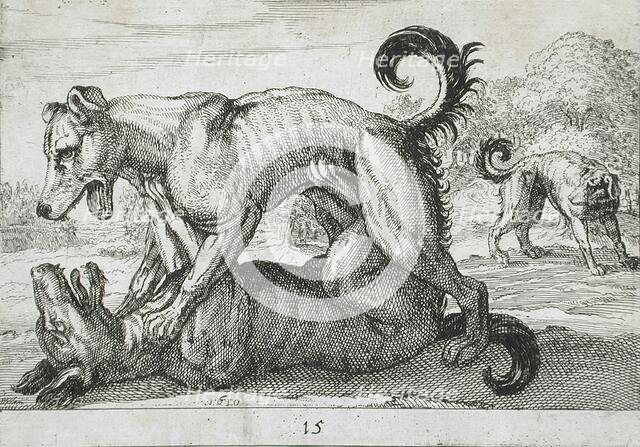 Two Dogs Fighting, 1610. Creator: Hendrick Hondius I.