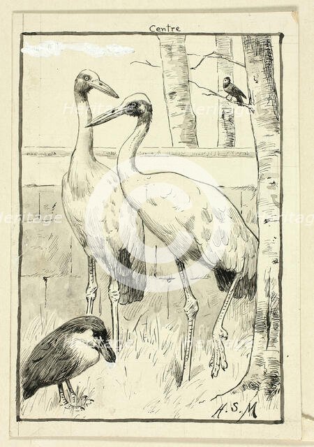 Four Birds in Landscape, n.d. Creator: Henry Stacy Marks.