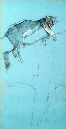 Study of a Puma, c1900s. Creator: John MacAllan Swan.