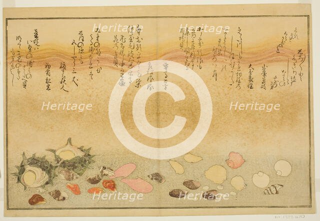 Shiro-gai, namima-gashiwa, makura-gai, iro-gai, aza-gai, sadae-gai, from the illustrated b..., 1789. Creator: Kitagawa Utamaro.