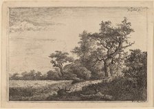 Grain Field at the Edge of a Wood (Corn Field). Creator: Jacob van Ruisdael.