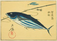 Famous Products of Tosa Province: Dried Bonito (Tosa meibutsu, katsuobushi), section of sh..., 1852. Creator: Ando Hiroshige.