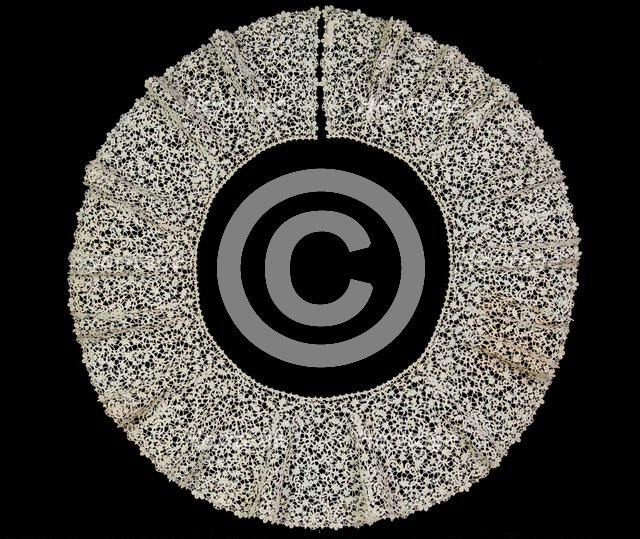 Bertha, Italian, ca. 1890. Creator: Unknown.