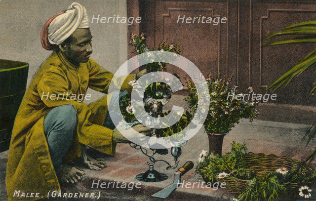 'Malee (Gardener)', c1900. Artist: Unknown.