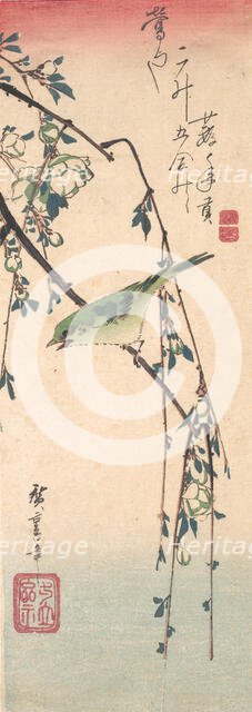 Warbler on a Plum Branch , ca. 1835., ca. 1835. Creator: Ando Hiroshige.