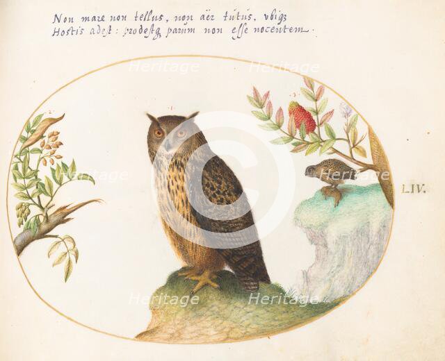 Animalia Volatilia et Amphibia (Aier): Plate LIV, c. 1575/1580. Creator: Joris Hoefnagel.