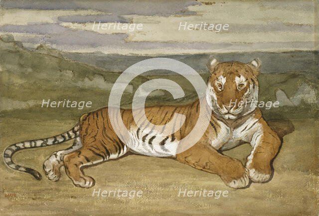 Tiger at Rest, c1830s-1840s. Creator: Antoine-Louis Barye.