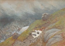 View Above Handeck, Switzerland, 1875. Creator: Eugene Viollet-le-Duc.