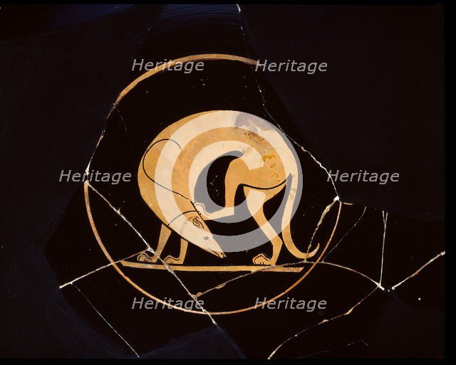 Attic red-figure cup of dog scratching his ear with a hindleg, inside tondo, 5th century BC. Artist: Euergides Painter.