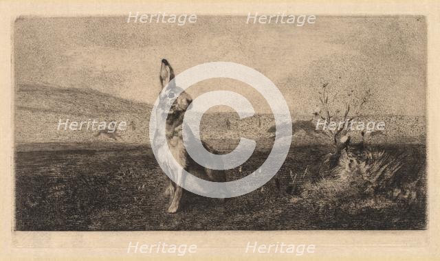 The Hare (Le Lièvre), 1865. Creator: Félix Bracquemond (French, 1833-1914).