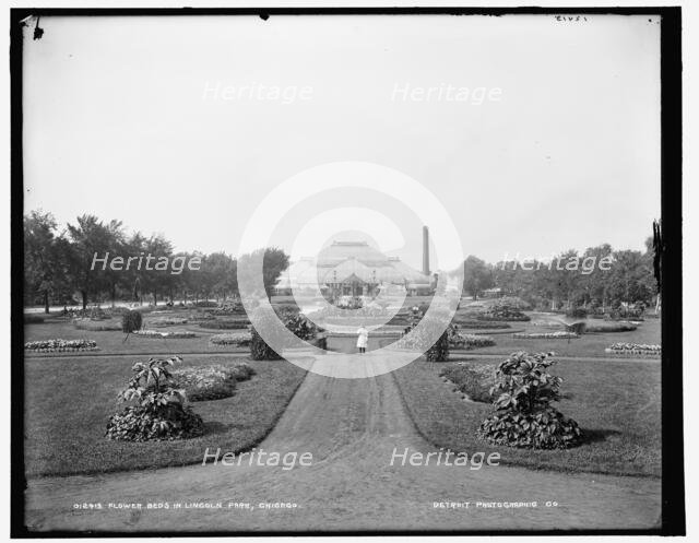Flower beds in Lincoln Park, Chicago, 1900. Creator: Unknown.