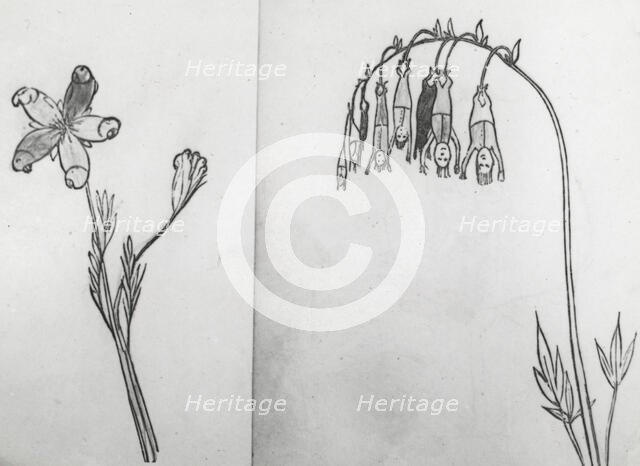 Reproduction of illustrations: "Pollybirida Singularis" and "Manypeeplia Upsidownia", c1915 - 1925. Creator: Frances Benjamin Johnston.