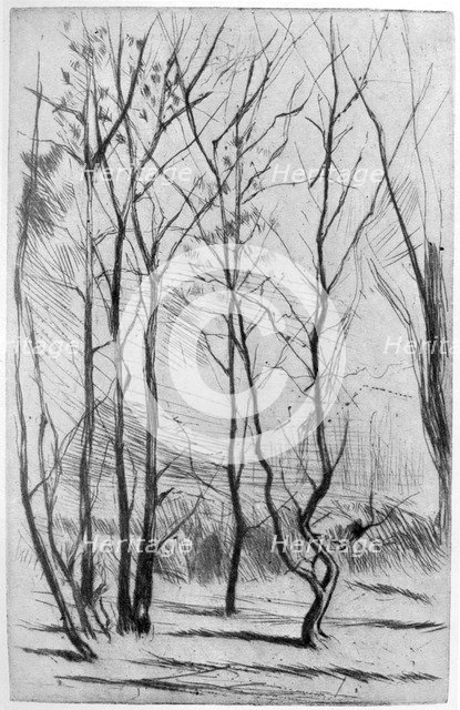 'The Dam Wood', c1875 (1904).Artist: James Abbott McNeill Whistler