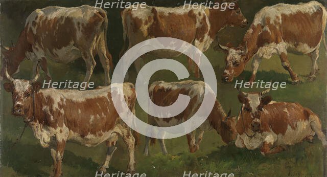 Study of Cows, 1884. Creator: Anders Monsen Askevold.