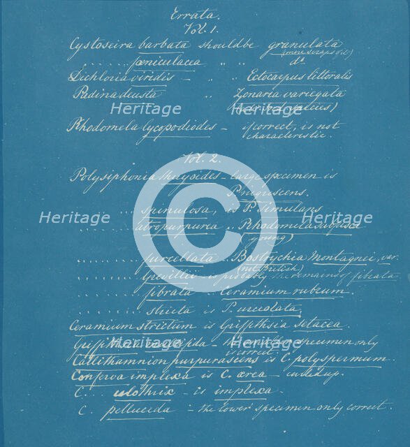 Errata, ca. 1853. Creator: Anna Atkins.