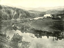 'Hop Gardens in Tasmania', 1901. Creator: Unknown.