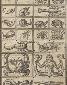 Essempio di recammi, page 11 (recto), 1530. Creator: Giovanni Antonio Tagliente.