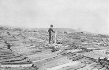 Frank G. Carpenter on woodpile, between c1900 and 1916. Creator: Unknown.