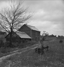 Hillside Farm road leading from sharecropper's house..., Person County, North Carolina, 1939. Creator: Dorothea Lange.