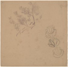 Study for a Border Design with a Sketch of a Tree, 1890/1897. Creator: Charles Sprague Pearce.