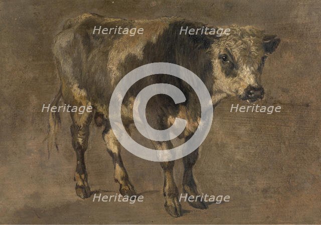 Bull, c1870s. Creator: Andre Plumot.