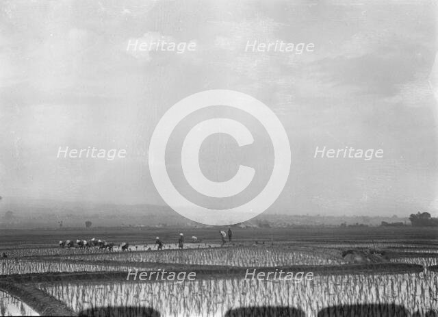 Travel views of Japan and Korea, 1908. Creator: Arnold Genthe.