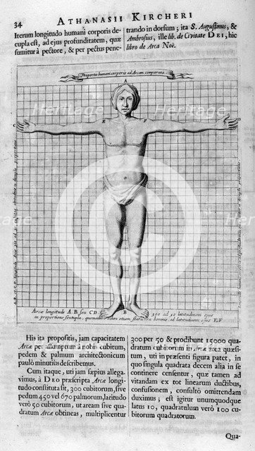 Proportions of man, 1675. Artist: Athanasius Kircher